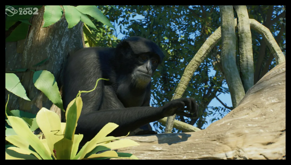 بازی Planet Zoo 2 هم‌اکنون در دسترس است؛ تریلر راه‌اندازی حیوانات زنده را به نمایش می‌گذارد